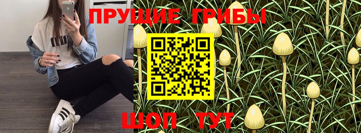 Галлюциногенные грибы MAGIC MUSHROOMS  Псилоцибиновые грибы ЛСД  Вход с VPN  Верхняя Салда 